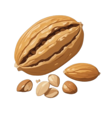 Nuts and Seeds